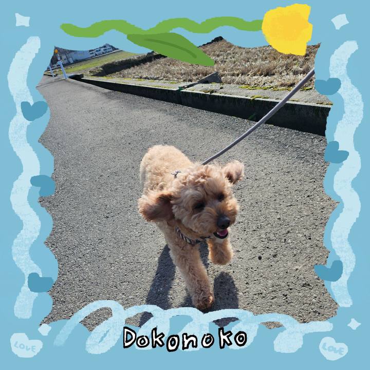 3d0676b5 d5da 4907 8c05 31b556e17d04 1772336873732