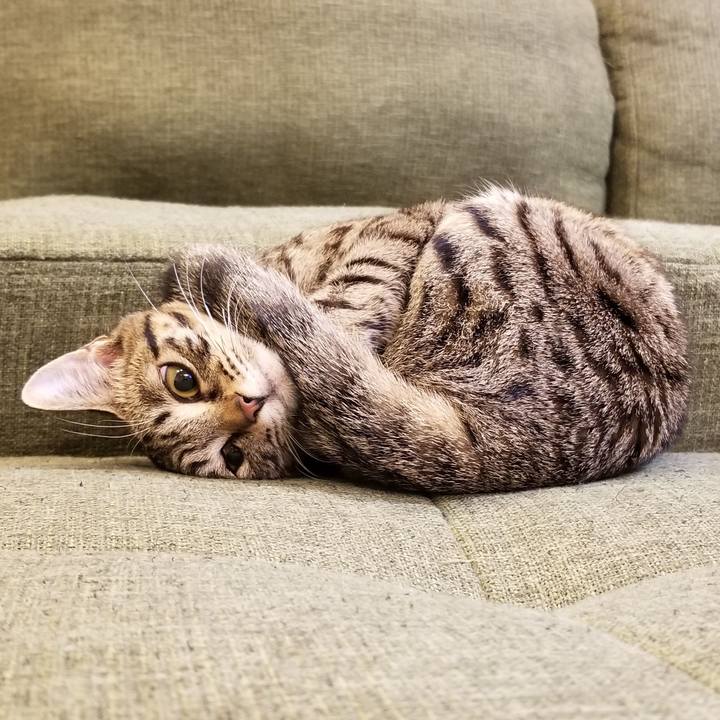 3d067784 c016 4d81 90fd c842ed13915f 1548139621796