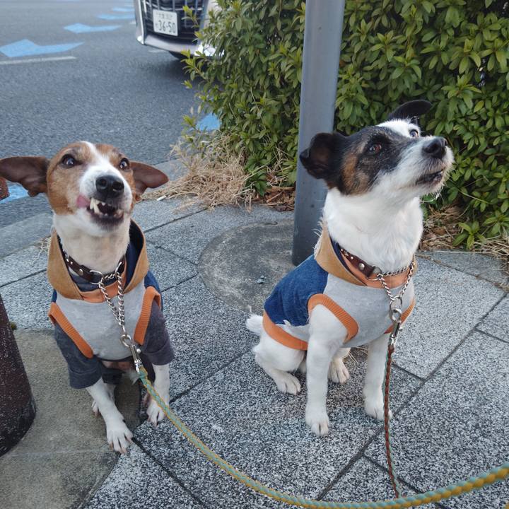 3d067f0e 3414 4769 9c58 dd78a3eac096 1740002132305