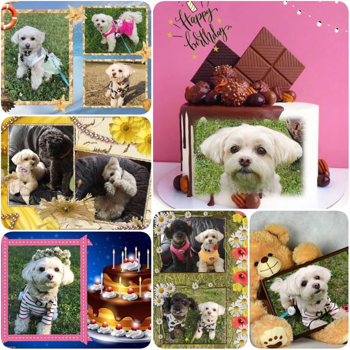 3d0691dc 7862 4a27 8303 da1b092369c3 1623610465696