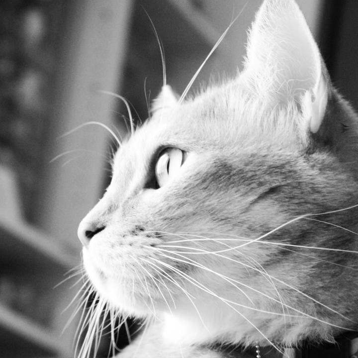 3d06984c c269 4d90 9164 d82e4ca557b9 1582704743996