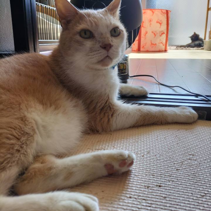 3d06b279 c6d1 4689 a2c3 bf903af8c66b 1656719370460