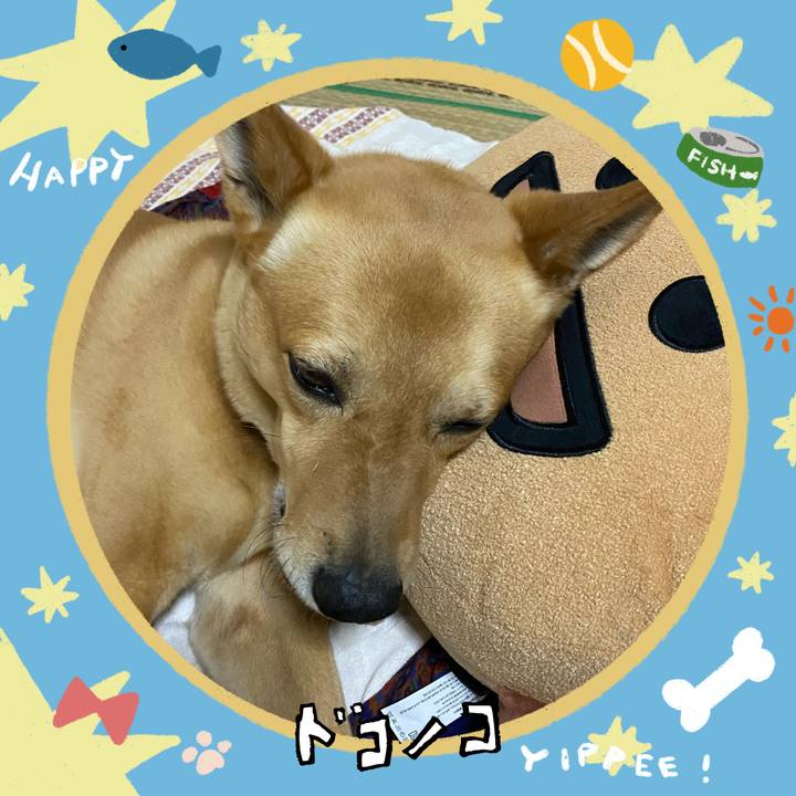 3d06bc23 fbfb 45cf b7a8 f83effb0b5b0 1721019715482