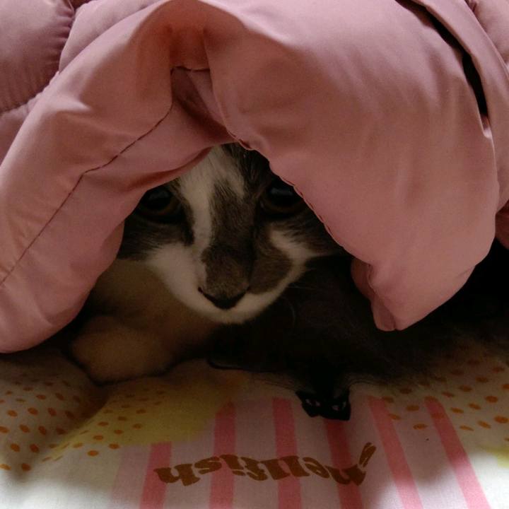 3d06bd0e 751f 4c81 a1ac a1195140d4eb 1607942738169