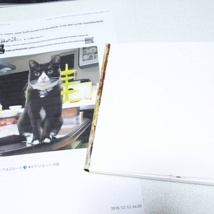 3d07011f 5e43 4156 82c8 18fa7c2fbdbd 1545538341149