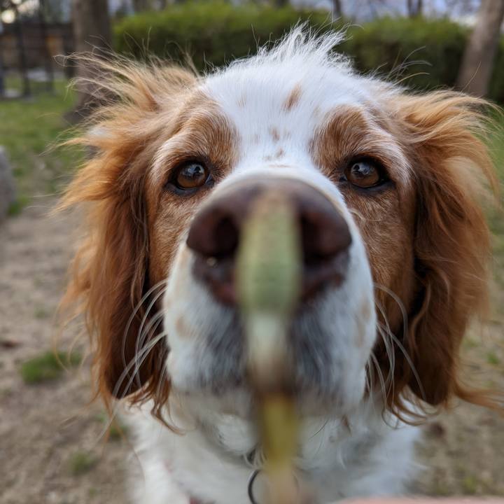 3d078f42 3c8d 4649 b796 c72e1c17e61c 1665195008618