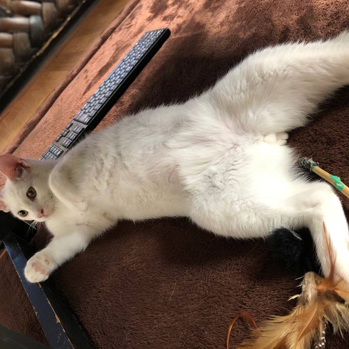 3d07cfbf 0a89 4fd5 b59b 967ded68cd75 1622948604452