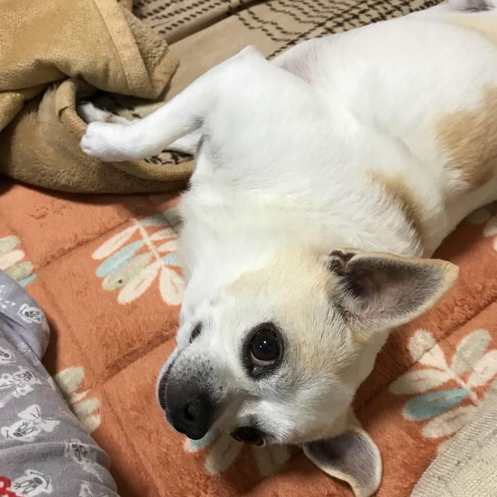 3d07de73 addf 49c1 883f a45b90848034 1508927110066