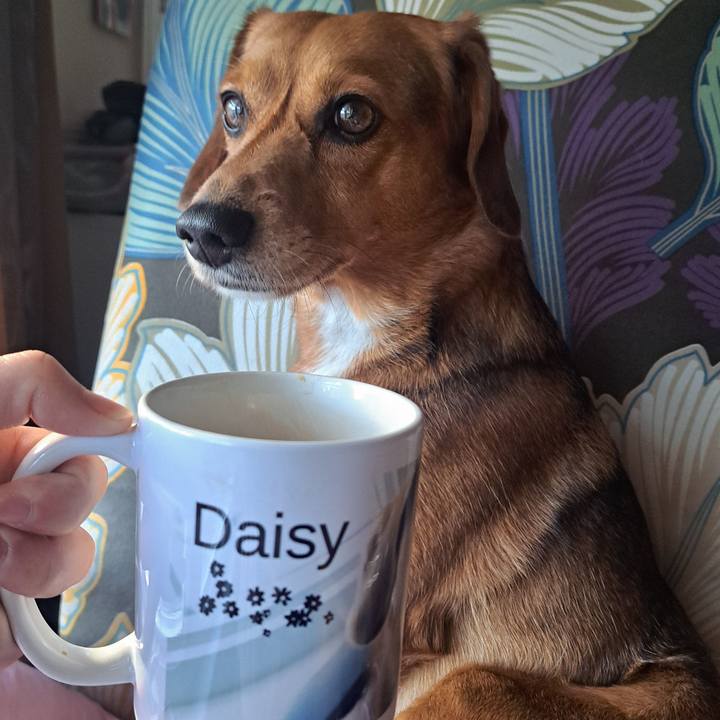 3d07e0e4 ed3e 44cd bda4 ec1a12b5eb72 1774700656736