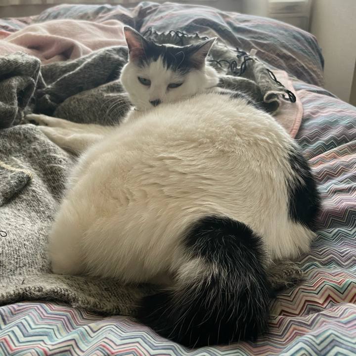 3d0808ff 7fbd 4015 a40d 70eea0e1a27b 1648424934579