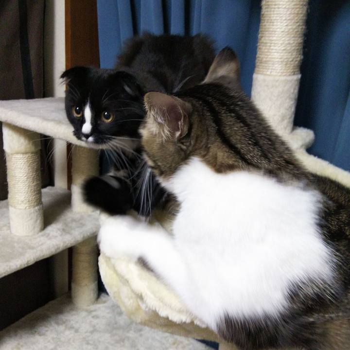 3d0811b2 f755 43f9 b96d dba41228a194 1643974069253