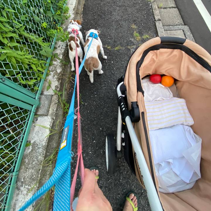 3d081927 732c 4f01 95ef a34d89edd24d 1722809475276