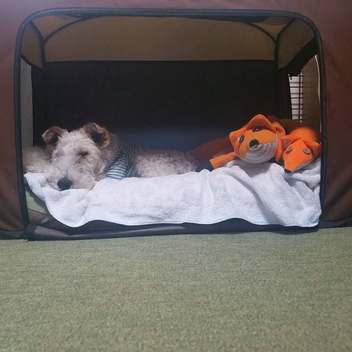 3d083076 ba0b 4aba 8655 8b26a554d1d1 1588740102019