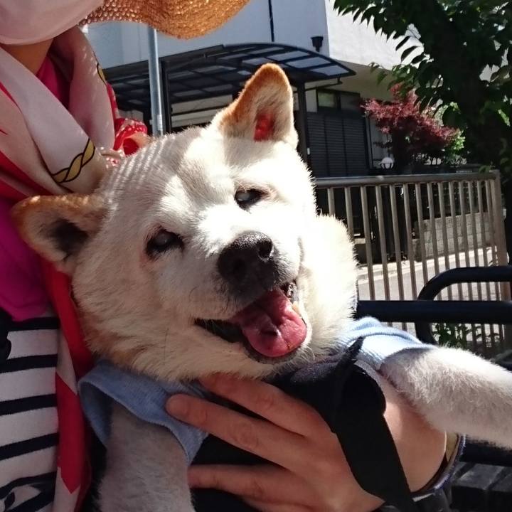 3d08334b 0daa 46ae b337 e20feb5c1e27 1526797603265