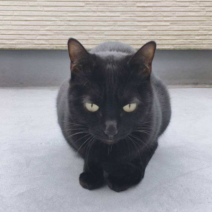 3d083ee2 7813 42d0 a817 5d966a447053 1540247446674