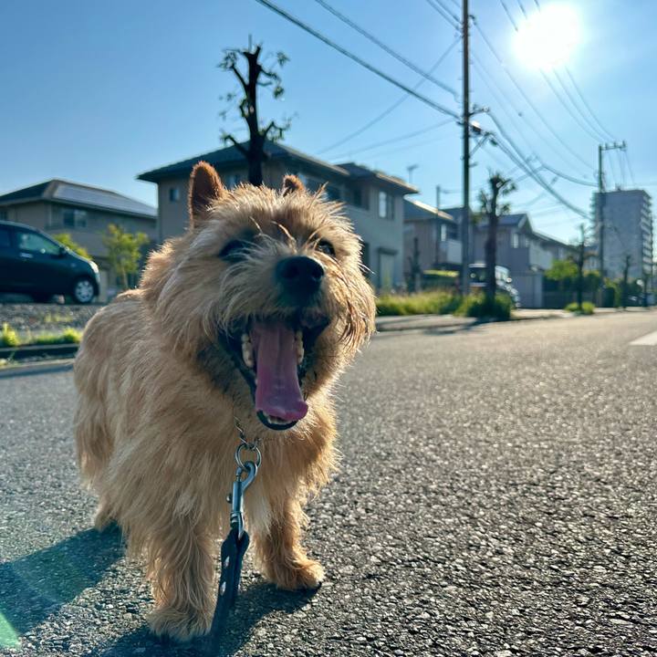 3d086613 52fd 4001 b443 ee0fd5c8246b 1745959598816