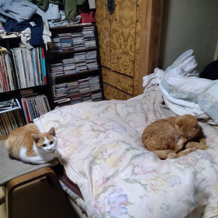 3d088b91 31d0 4b73 8793 a2f79174a473 1732275881271