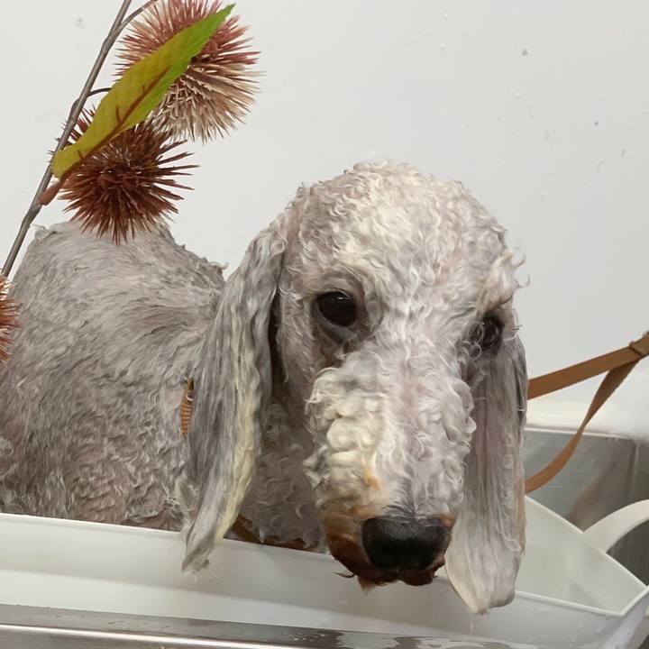 3d08bf38 9970 4673 8eda 64ce63fbb121 1631526846696