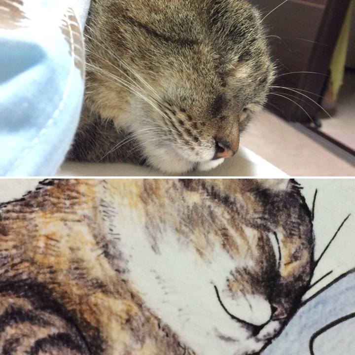 3d08c448 7655 47b2 9ff4 10d91d9d4852 1526043549175