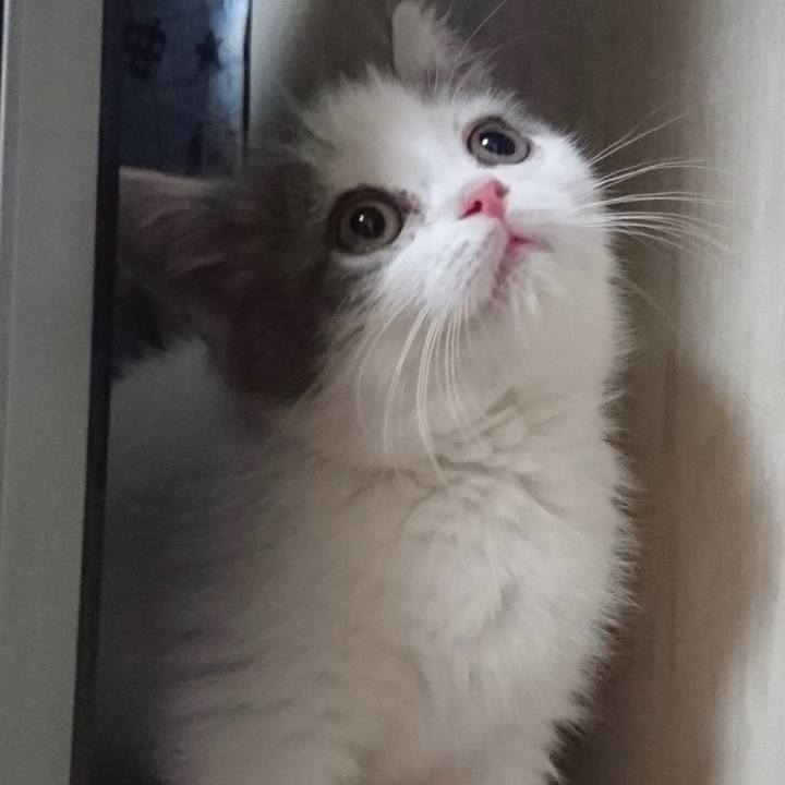 3d08cfb8 d3cd 44b2 a2e9 c2cbf0a043ae 1691020944880