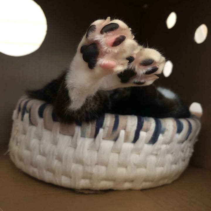 3d08d5a8 be6c 4276 af33 4c15fdb5397c 1597502986461