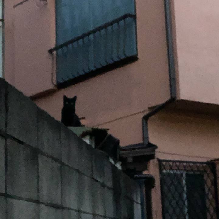 3d08f7b3 b826 4d2a 8a35 cb8d1844da15 1604629664429