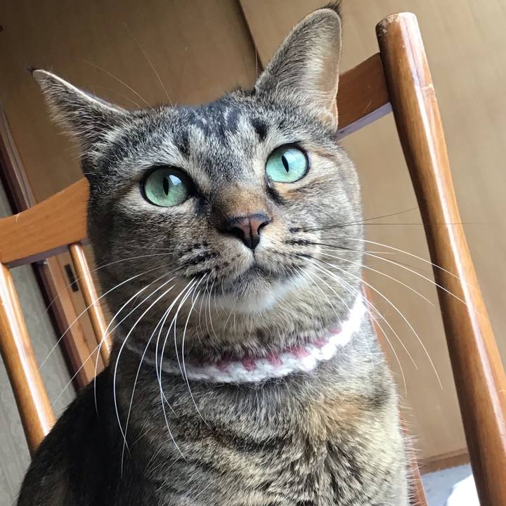 3d0952d8 b128 4dfc b329 73139f5c95ac 1667606378233