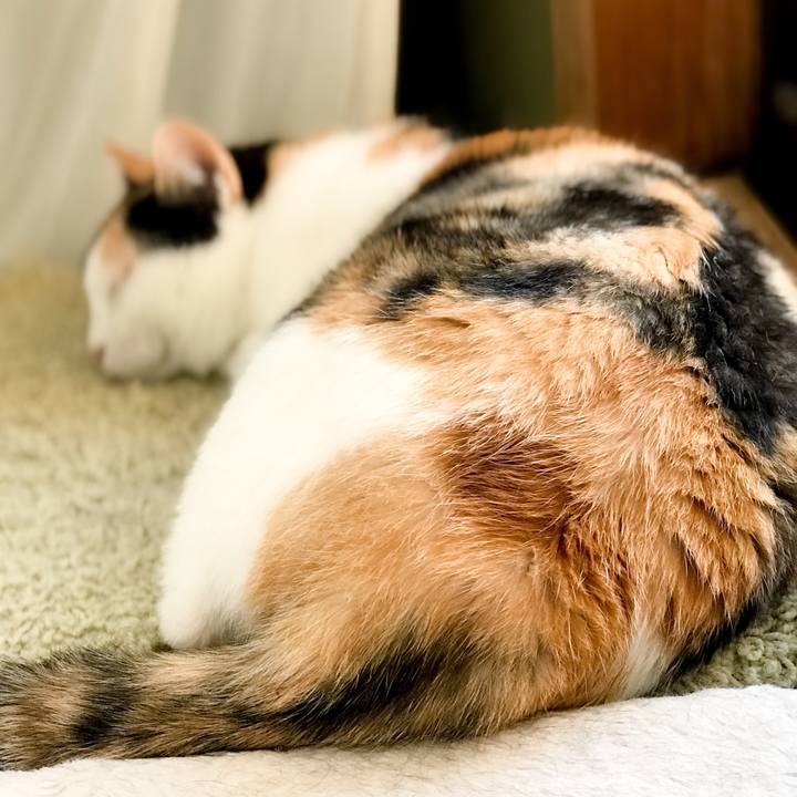 3d0a2d4f ade0 44d6 ad03 60758b519685 1531098503072