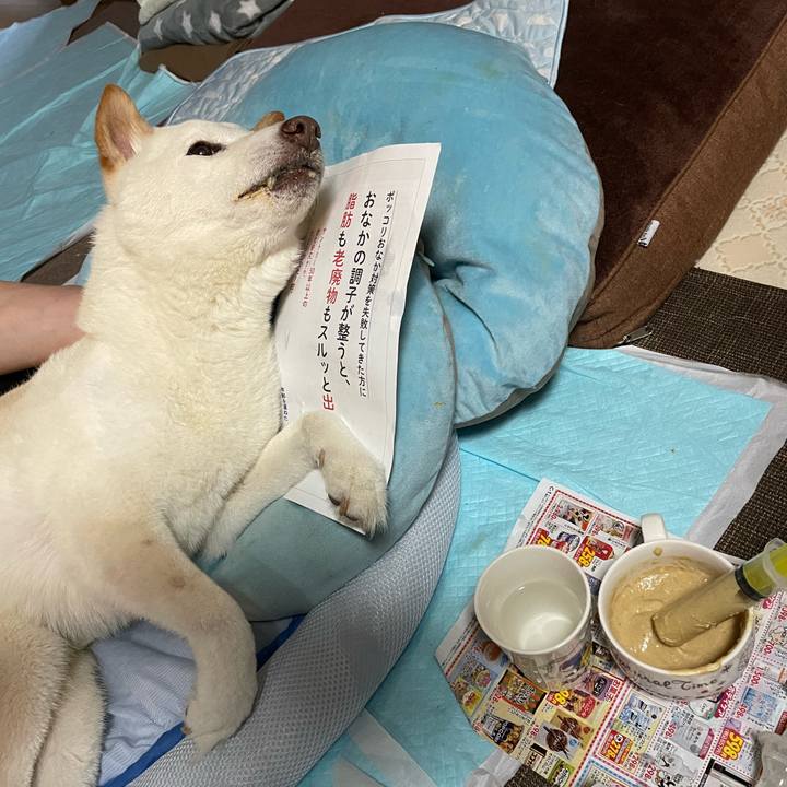 3d0a4a70 b151 4604 8b85 75e59b10dcde 1653996664096