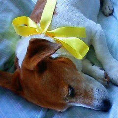 3d0a64b7 7812 41cd 8450 46c6bf5718eb 1524484718369