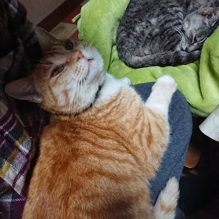 3d0aebfd 400f 4354 86c9 0b64c77b801c 1583022513186