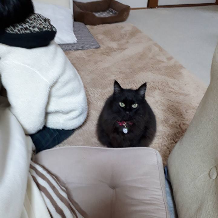 3d0b2e25 2c98 440b 9d04 06fbc19c9859 1519337463661