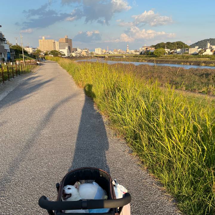 3d0b5f93 093f 49e4 a7db 983a4f8f42bb 1666521155757