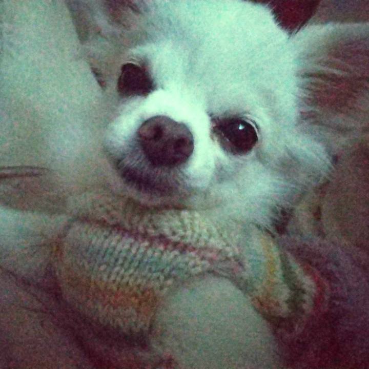 3d0bdd63 3c90 4c63 8dee 720f36fccb36 1610888531481