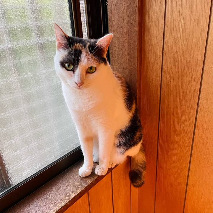 3d0bdebd 48ea 48d1 ba08 4583f341f5c0 1632881313580