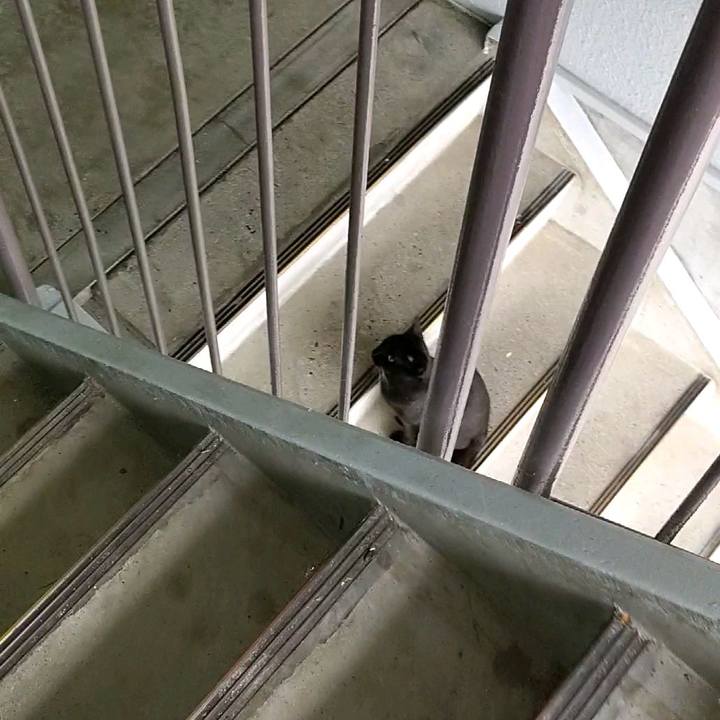 3d0c3c86 ba3d 43b3 ab28 4fdfa2535e96 1593818428489