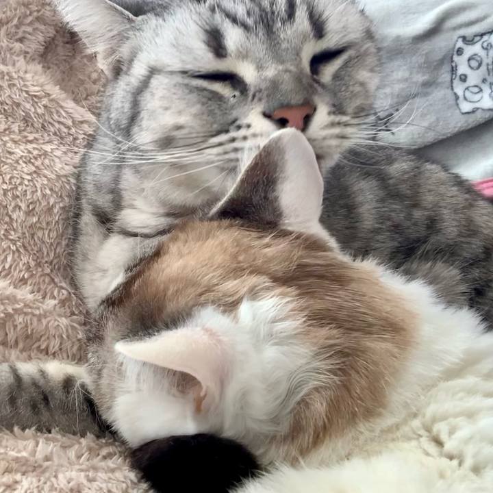 3d0c4fdc b80b 4986 ad19 d09f65b7cd42 1642311961218