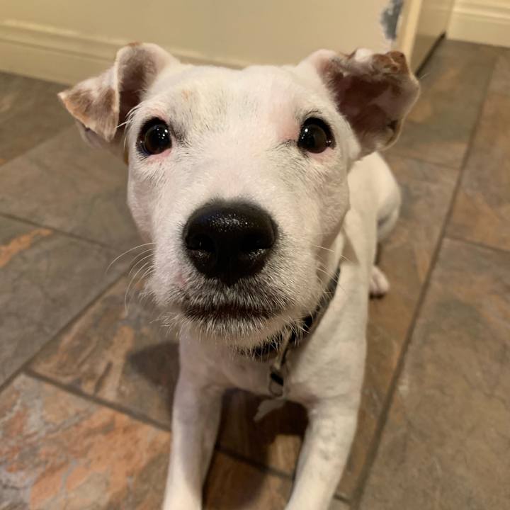 3d0c5a31 9602 44b0 bb3b 95a337049294 1562505458115