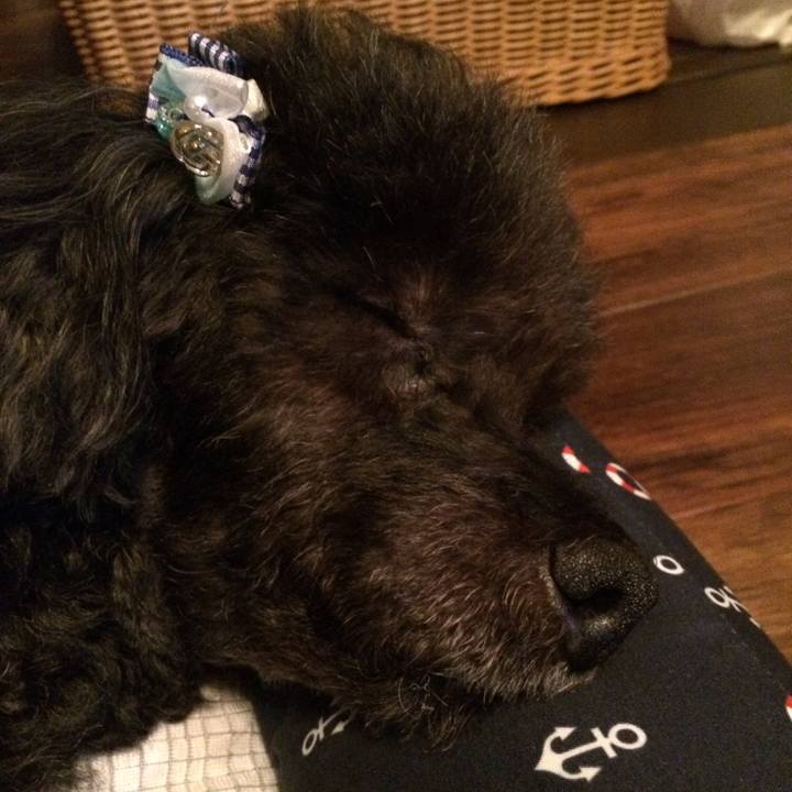 3d0c679d 11bb 47b3 a49a cae9c4029052 1565186356135