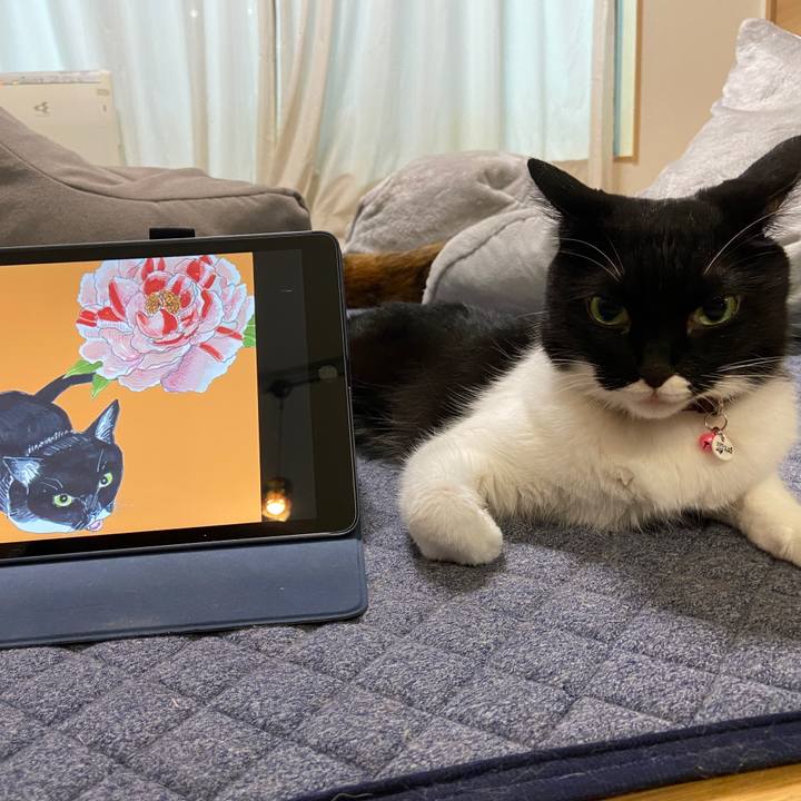 3d0c73f3 edb5 45e8 9c91 eaaa9ca67ac6 1625631036905