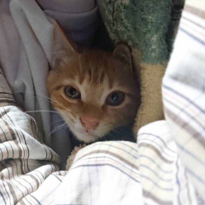 3d0c7f74 592c 46c4 91bd a13fa4963426 1632690594984