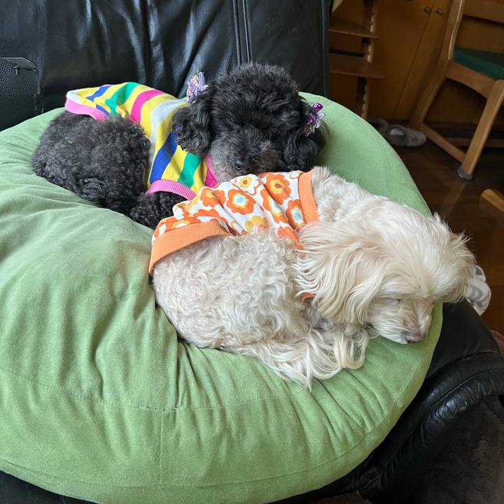 3d0c9403 6264 4207 90fc 561a163435b6 1768294645660