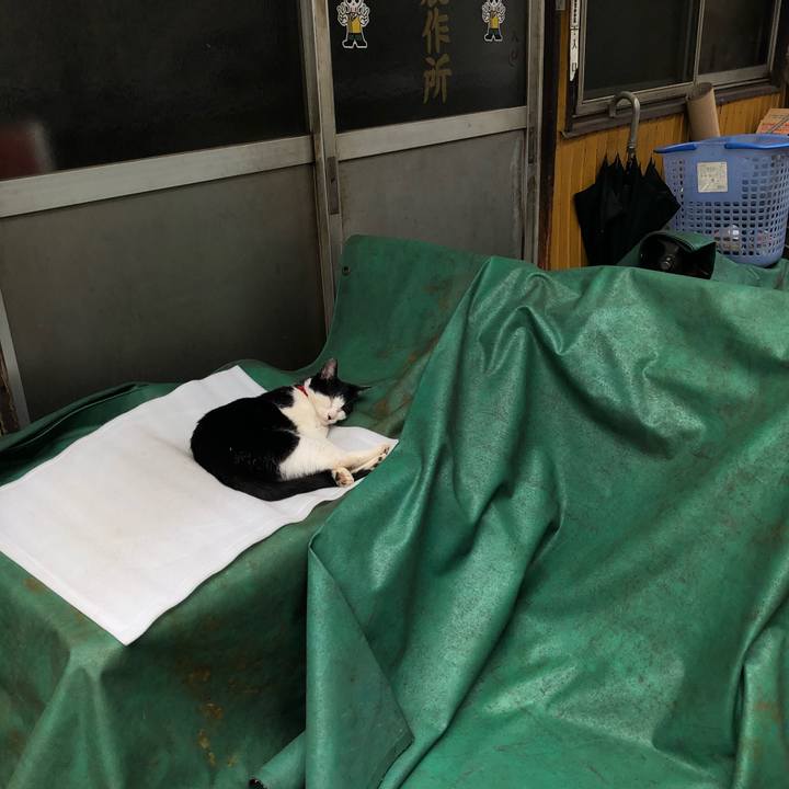 3d0ccc01 2eeb 45b3 b2cd a0c87a563d1a 1563106355085