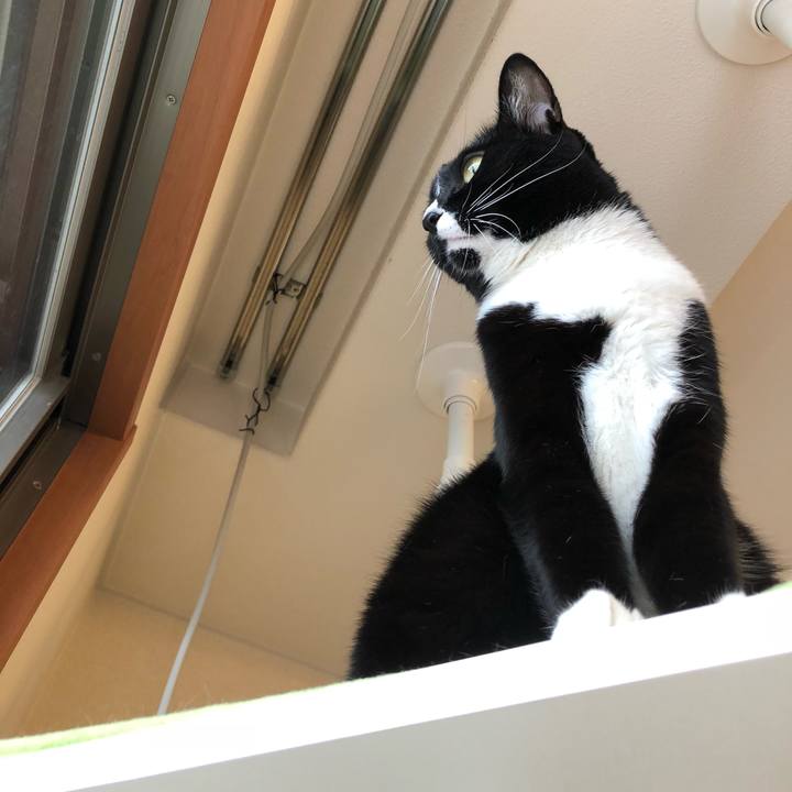 3d0ccf8d 7af8 4166 b5a1 f320034dd3ec 1509919737983