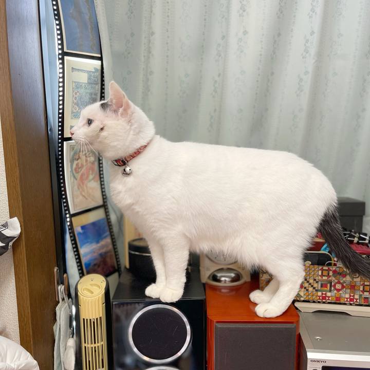 3d0ce703 944e 4e0d 918b 8ee37ec039be 1764463969860