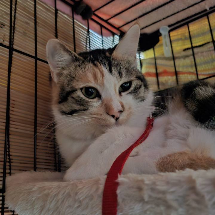 3d0d1fcd 1d9e 4564 b939 7cd3e78d09d3 1767845554104