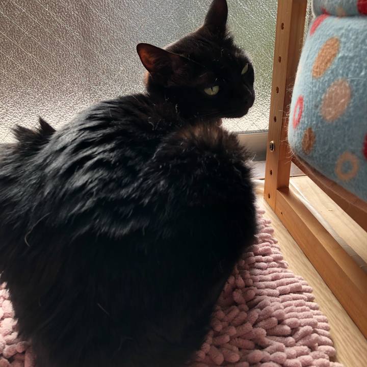 3d0d2b19 2c52 4fe2 af2f 060061e4ff04 1620082557529