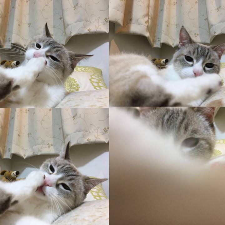 3d0d5a86 46e2 4b47 bcc0 7f55307f2081 1522680008269