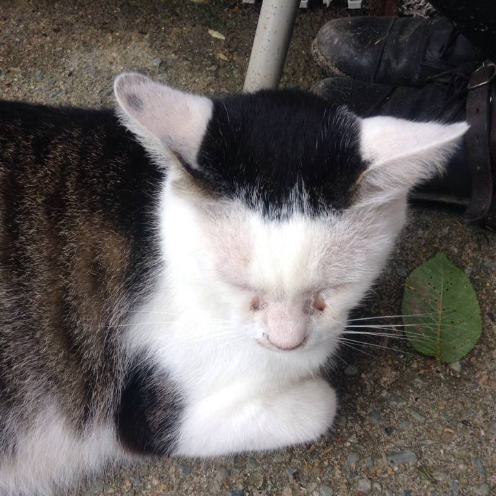 3d0d9d40 4356 4ced b6b2 e41d3c383f9f 1533466634670