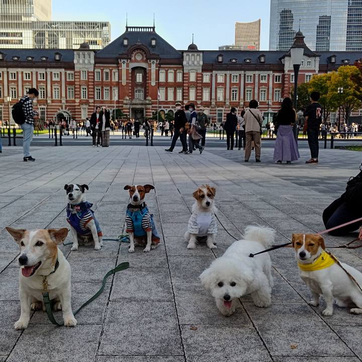 3d0da6d6 dd14 4619 8d53 ba25fefe022f 1668243912899